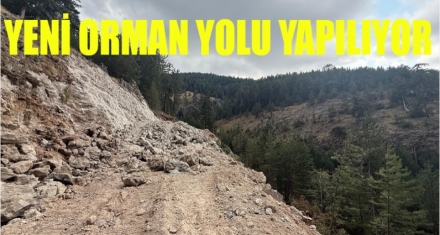 5 KM'LİK YENİ ORMAN YOLU