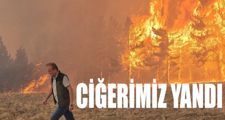 CİĞERİMİZ YANDI
