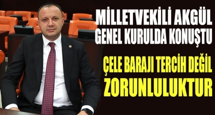 AKGÜL; ÇELE BARAJI TERCİH DEĞİL ZORUNLULUKTUR!