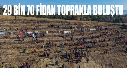 29 BİN 70 FİDAN TOPRAKLA BULUŞTU