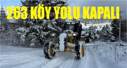 263 köy yolu kapalı