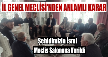 İL GENEL MECLİSİ'NDEN ANLAMLI KARAR