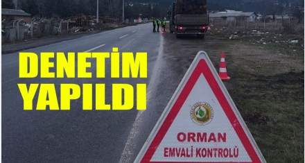 DENETİM YAPILDI