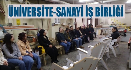 Üniversite-Sanayi İş Birliği