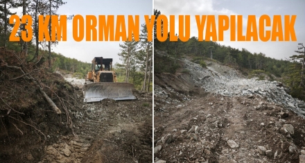 Orman yolları yapımı başladı