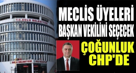 MECLİS ÜYELERİ BAŞKAN VEKİLİNİ SEÇECEK 