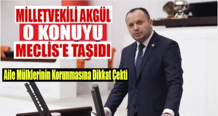 Akgül, hisseli taşınmazlardaki mağduriyetleri Meclis gündemine taşıdı