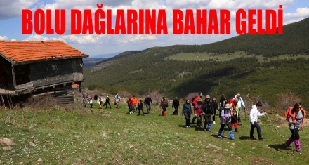BOLU DAĞLARINA BAHAR GELDİ 
