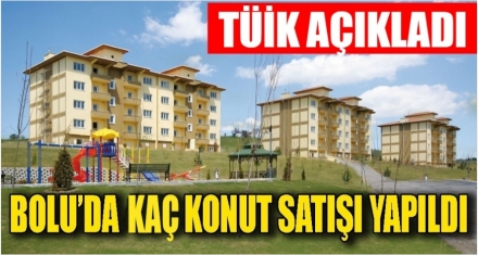 BOLU'DA KAÇ KONUT SATILDI !