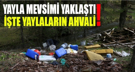 YAYLALAR ÇÖP İÇERİSİNDE 